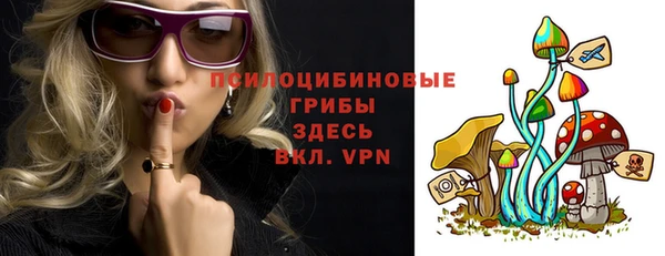 ГАЛЛЮЦИНОГЕННЫЕ ГРИБЫ Алексин