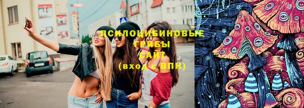 ГАЛЛЮЦИНОГЕННЫЕ ГРИБЫ Алексин