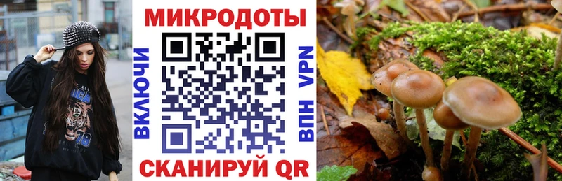 Псилоцибиновые грибы прущие грибы  Морозовск 