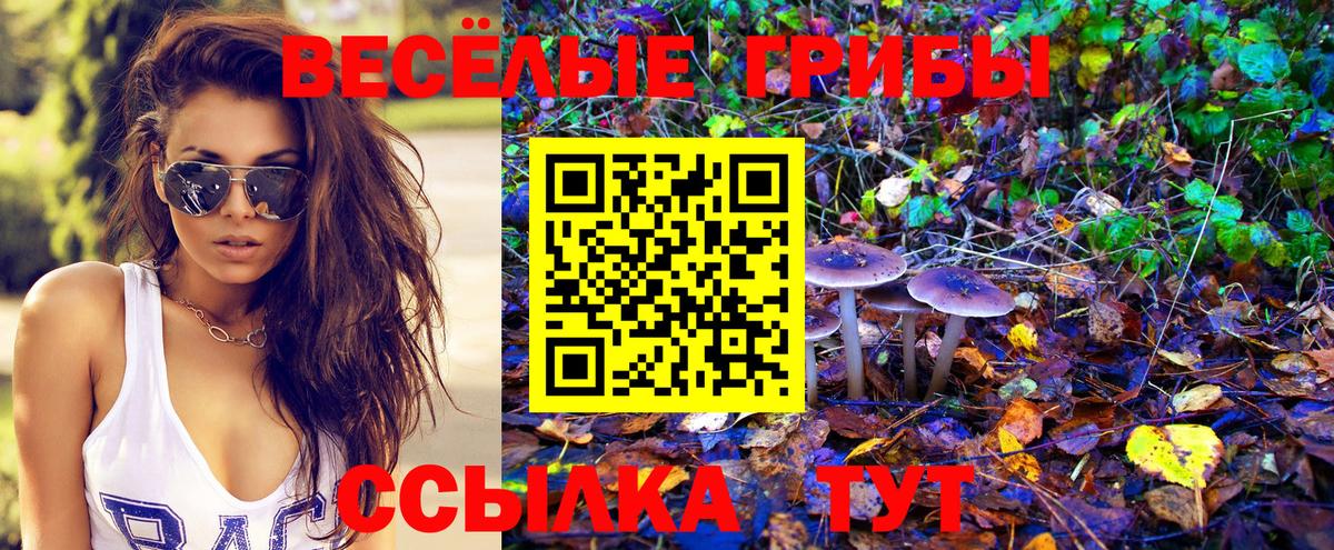 Псилоцибиновые грибы Cubensis  Вход с VPN  Морозовск 